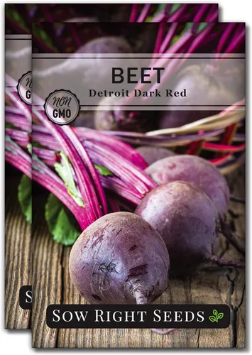 Miniatura 7 de Sow Right Seeds - Semillas de remolacha rojo oscuro Detroit para plantar - Variedad de reliquia sin OMG - Remolacha para plantar al aire libre