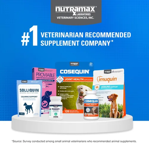 Miniatura 9 de Nutramax Laboratories Cosequin Plus MSM & Boswellia - Masticables suaves de tamaño mini