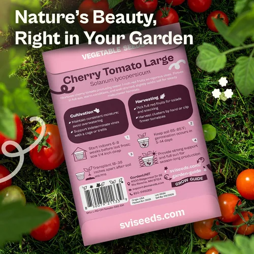 Miniatura 2 de SVI 550 semillas grandes de tomate cereza roja (Solanum lycoperscium) - Paquetes de semillas de tomates cherry, mini tomates en la vid - Semillas