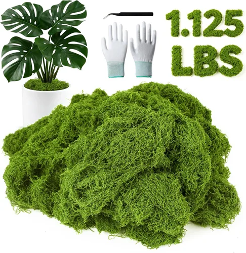 Miniatura 12 de MGLIFEUL Musgo artificial artificial de 1.125 libras para manualidades, plantas de interior con guantes antiadherentes y pinzas, musgo artificial