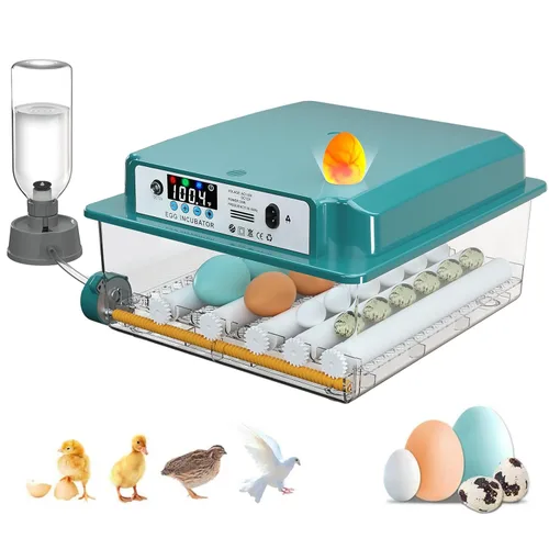 Incubadoras para incubar 16 huevos, incubadora de huevos con giro automático de huevos y relleno de humedad, control de temperatura, incubadora con