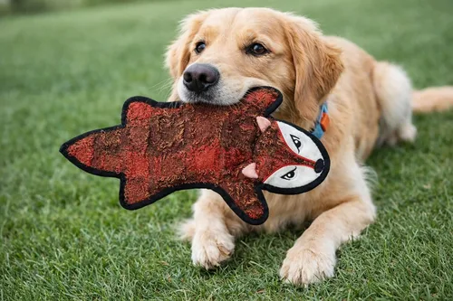 Miniatura 6 de Jalousie Paquete de 5 juguetes chirriantes ultra resistentes para perros grandes, sin ensuciar, interactivos, duraderos, de felpa, indestructibles