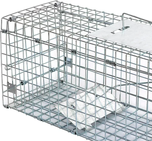 Miniatura 6 de JungleA Jaula de trampa para animales, jaula plegable de 24 pulgadas con 1 puerta de hierro, trampa humana para atrapar y liberar roedores