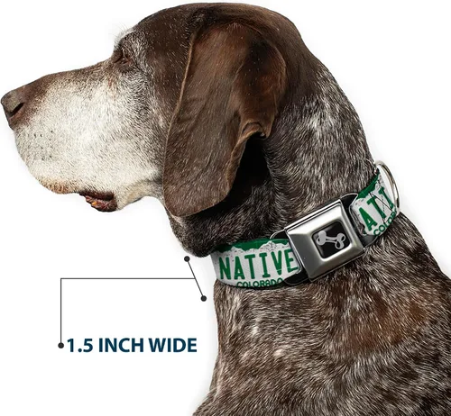 Miniatura 7 de Buckle-Down Collar de perro con hebilla para cinturón de seguridad, placa de matrícula de Colorado, 1 pulgada de ancho, se adapta a cuello de 15 a