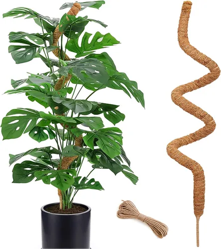 Miniatura 14 de Poste de musgo de 48 pulgadas, poste de musgo flexible para plantas Monstera, postes de musgo altos para plantas trepadoras de interiores, soporte