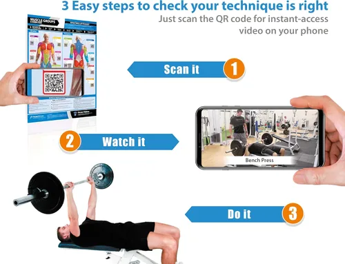 Miniatura 7 de Póster de gimnasio para grupos musculares y ejercicios, laminado, EXTRAGRANDE 33" x 23.5", tabla de pared de gimnasio y fitness en casa, incluye