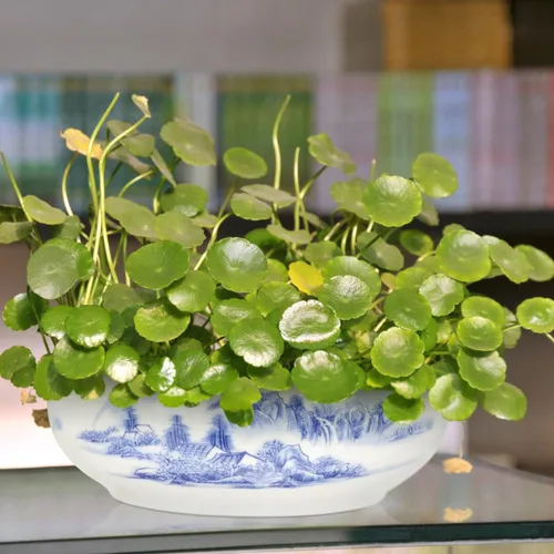 Miniatura 9 de Maceta de cerámica para decoración floral, mesa auxiliar circular, contenedor para suculentas, macetas rústicas, macetas de bonsái, maceta