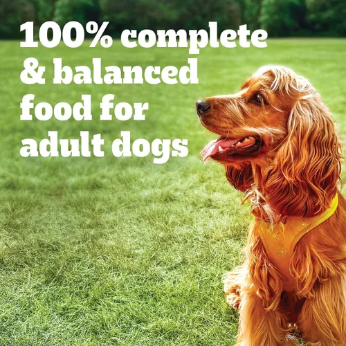 Miniatura 10 de Pedigree Paquete variado de alimentos húmedos suaves para perros adultos con alto contenido de proteínas, bolsas de 3.5 onzas, 30