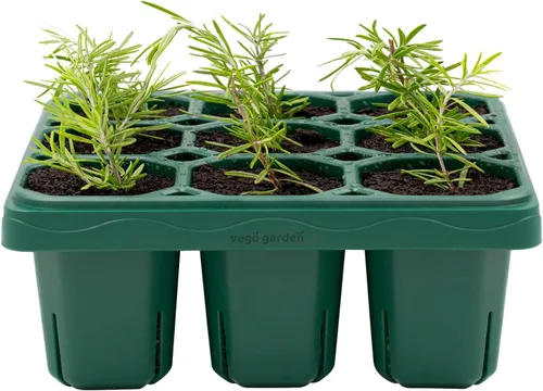 Vego garden Giga - Bandejas de plántulas, paquete de 2, 9 celdas, resistentes a los rayos UV, reutilizables, para invernadero/jardín (sin tapas)