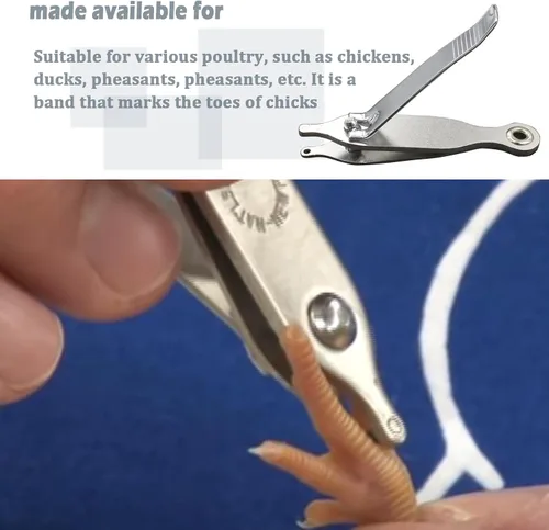 Miniatura 3 de Punzón compuesto para pollos, faisán, pato, codorniz y pollitos de un día