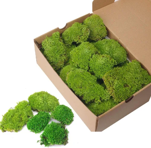Miniatura 9 de Musgo preservado de 2 pies cuadrados para decoración de pared, decoración de mesa para bricolaje, cuenco de musgo, almohada de musgo, verde natural