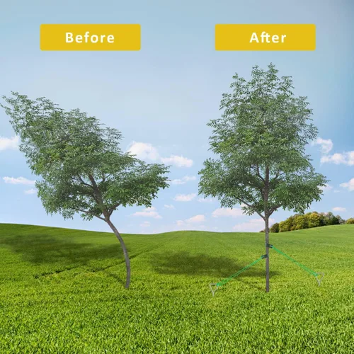Miniatura 6 de Kit de estaca para árboles, estacas de árbol en espiral resistentes para árboles inclinados, solución enderezadora para árboles jóvenes en mal tiempo