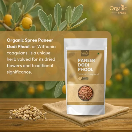 Miniatura 4 de Organic Spree Paneer Dodi Phool – Withania Coagulans 5.29 oz (150 gm) Cuajo indio puro para el bienestar natural Flor seca pura