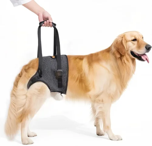 Arnés acolchado suave ajustable para patas traseras para perros grandes, para patas traseras débiles, lesionadas o discapacitadas, ayuda a apoyar a