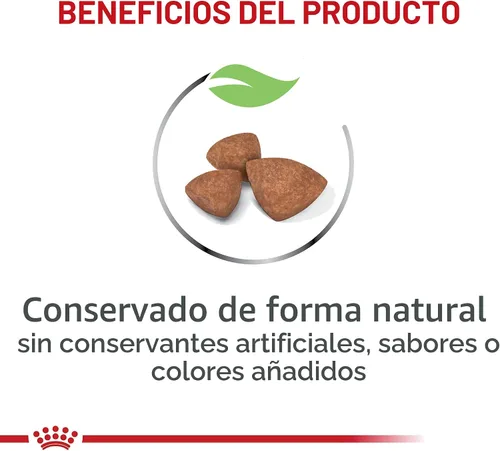 Miniatura 3 de De Royal Canin, Size Health Nutrition, comida seca para cachorros extra pequeños, comida para perros