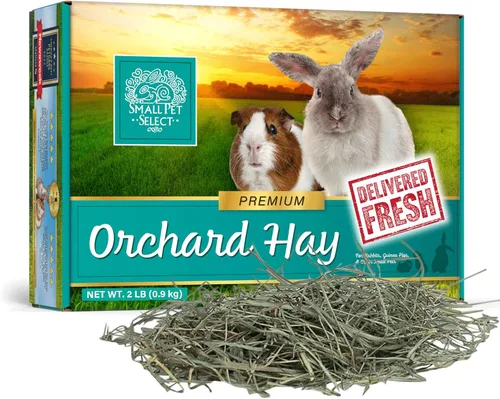 Miniatura 7 de Small Pet Select Orchard Grass Hay - Alimento para mascotas para conejos, cobayas, chinchillas y otros animales pequeños, heno natural premium