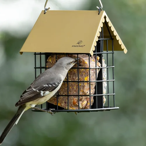 Miniatura 7 de Kingsyard Comedero doble de sebo para pájaros con techo a prueba de inclemencias del tiempo y percha, todo de metal, comedero de sebo para pájaros