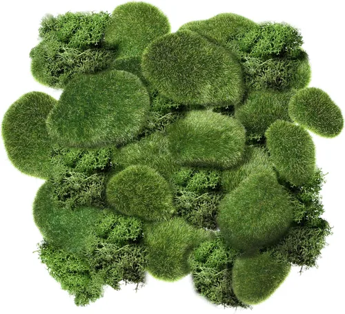 Chuangdi 20 unidades de piedras artificiales de musgo de varios tamaños, decorativas de imitación verdes, bolas de musgo verde, decoración para
