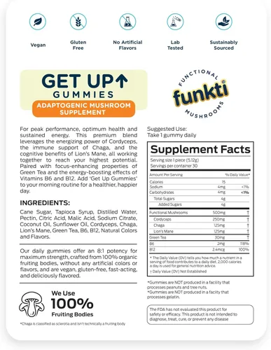 Miniatura 2 de Focus - Gomitas de hongos para adultos, suplemento de hongos con Cordyceps, melena de león, chaga, B6, B12, té verde - Gomitas de levantarse, una