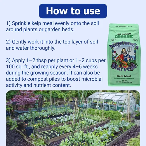 Miniatura 4 de Neptune's Harvest Alimento orgánico para plantas de algas marinas (1-0-2) – Bolsa resellable de 4 libras – Fertilizante multiusos de algas marinas