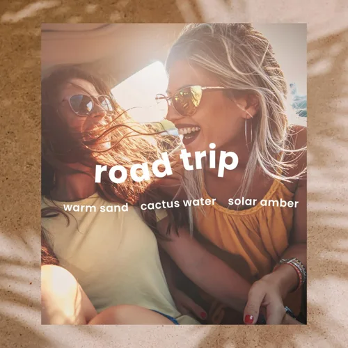 Miniatura 3 de Moodcast Difusor de varillas Road Trip - Difusor de aroma de lujo para el hogar, fragancia para dormitorio y baño, agua de cactus, ámbar y arena