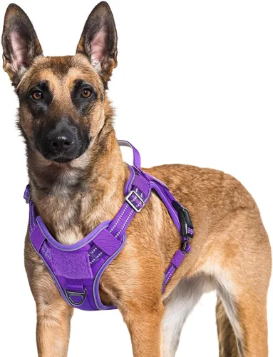 Miniatura 22 de rabbitgoo - Arnés para perros pequeño sin tirones, chaleco táctico de servicio con Molle y asa de control, arnés militar ajustable y reflectante
