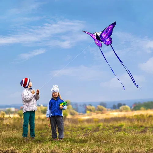 Miniatura 3 de Mint's Colorful Life Butterfly Kite for Kids & Adults, 55" x 28" Large Kite for Boys & Girls, Easy to Fly Kites for Beginners, Beach Single Line