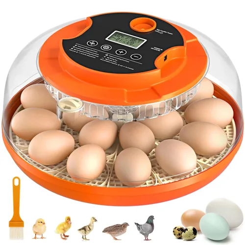 Miniatura 10 de 18 incubadoras de huevos para incubar huevos, incubadora automática de giro de huevos y control de humedad para eclosionar pollo, pato, codorniz
