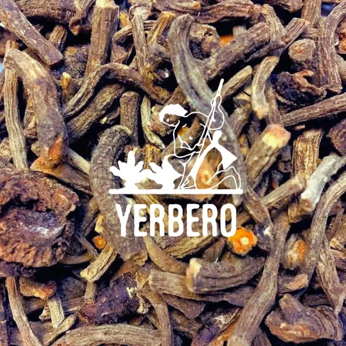 Miniatura 3 de Yerbero - Raíz de Osha 3.5 oz (100 g) Raiz de Chuchupate Ligusticum porteri Zanahoria de montaña, raíz de oso 100% natural Purificación