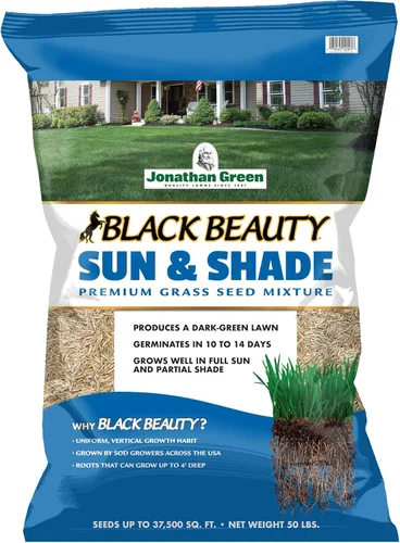 Miniatura 10 de Jonathan Green (12004) Black Beauty Sun & Shade - Semilla de césped de temporada fría (15 libras)