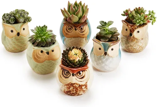 Miniatura 5 de Maceta de cerámica con base de esmalte que fluye en serie, juego de plantas suculentas, maceta de cactus, maceta con agujero de drenaje, escritorio