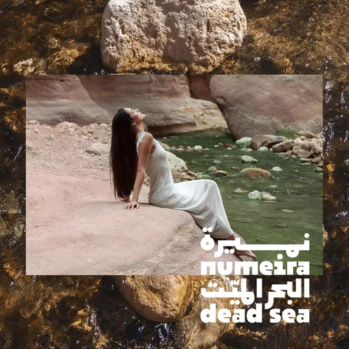 Miniatura 2 de Dead Sea Magnesium Flake Bath Soak - Escamas de cloruro de magnesio 100% puro con aceite esencial con infusión de lavanda (2.2 libras a granel)