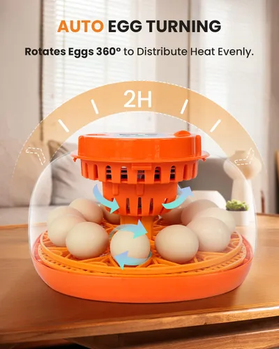 Miniatura 6 de Incubadora de 12 huevos con giro automático y control de humedad, incubadoras completamente automáticas con vela de huevos, kit educativo