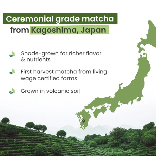 Miniatura 3 de PureChimp Polvo de matcha de grado ceremonial, 1.75 onzas. Té japonés puro de grado ceremonial matcha cultivado en sombra en Kagoshima. Polvo de té