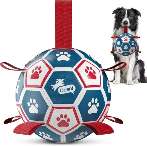 QDAN Pelota de fútbol para perros con correas, juguetes interactivos de forcejeo, juguete de cumpleaños para cachorros, juguete acuático, para rojo-
