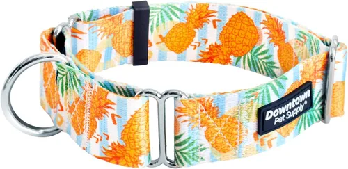Miniatura 13 de Downtown Pet Supply - Collar Martingala para perros - Collar de entrenamiento para perros - Collar de perro grande, ancho y grueso - A prueba