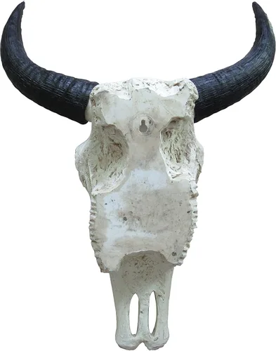 Miniatura 4 de DWK Calavera de buey tribal