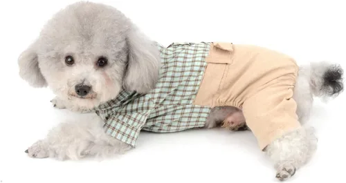 Miniatura 5 de SMALLLEE_Lucky_Store Camisas de algodón a cuadros británicos con botones para perros pequeños, niños con cinturón, pantalones casuales para Verde