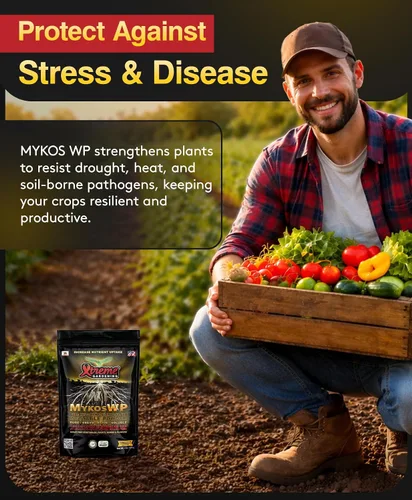 Miniatura 6 de Xtreme Gardening Mykos WP Mycorrhizae Powder - Micorrizas orgánicas para plantas - Estimulador de raíces de hongos micorrícicos para plantas - Ideal