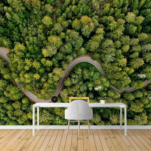 Miniatura 14 de SIGNFORD Adhesivo removible de pared/mural de pared, verde esmeralda, sol, bosque, árbol, árbol, naturaleza, desierto, fotografía, realismo
