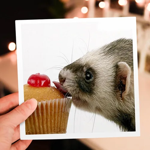 Miniatura 6 de Tarjeta de felicitación - Cupcake de hurón comiendo - Animales