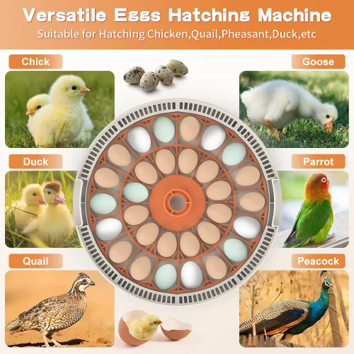 Miniatura 2 de incubadoras para incubar huevos,Incubadora de 30 huevos,Incubadora de huevos con giro automático de huevos,Incubadora para huevos