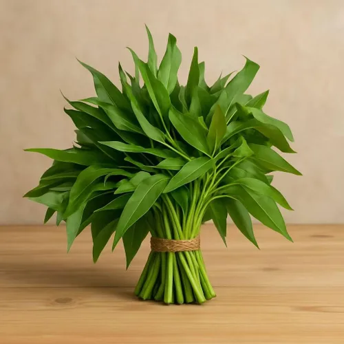 Kong Xin - Semillas CAI de 0.5 onzas, más de 300 semillas vegetales de hoja verde para plantar semillas Choy Ong sin OMG