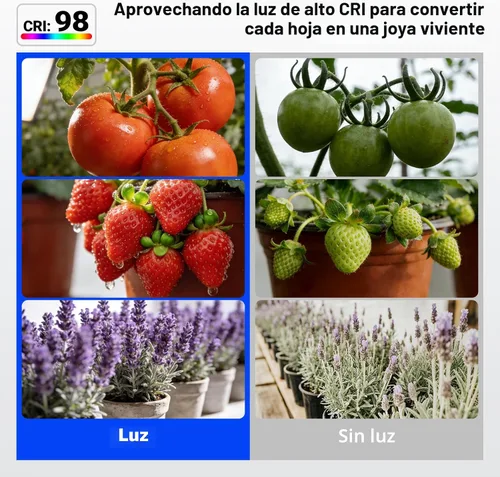 Miniatura 8 de Barrina Orbgrow OG11A - Bombillas de cultivo para plantas de interior, atenuación y sincronización integradas, 4000K 11W (equivalente a 100 W)