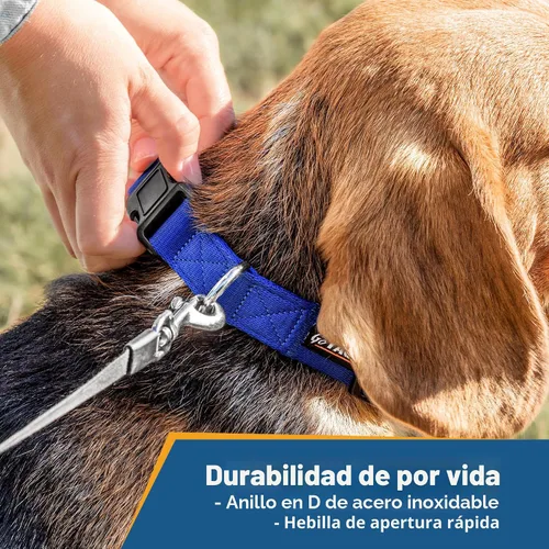 Miniatura 6 de Collar para perros personalizado, collares bordados con nombre de mascota y número de teléfono, azul, negro, rosa, rojo y naranja collares