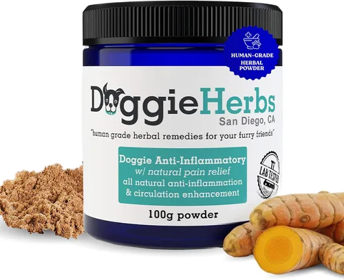 Apoyo antiinflamatorio natural – Mezcla de corydalis, curcumina y cúrcuma de grado clínico – Polvo formulado por médicos TCM para rigidez, dolores y