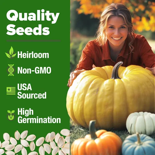 Miniatura 5 de HOME GROWN Semillas de calabaza 5 variedades, mezcla de 40+ reliquia sin OMG, alta germinación, campo de Connecticut, azul, blanco y mini calabazas