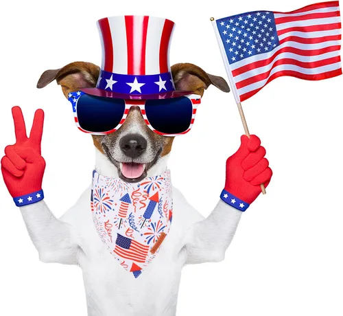 Miniatura 3 de ADOGGYGO Bandana para perro con bandera americana, bufanda para mascotas del 4 de julio en blanco y azul, tela duradera premium, ajustable, bandanas