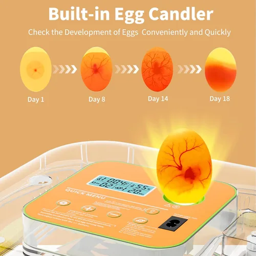 Miniatura 5 de Incubadora para incubar huevos, control de temperatura y humedad, día de incubación e incubación automático y ajustable, vela de huevos incorporada