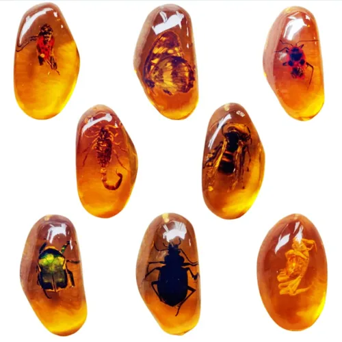 8 piezas de fósiles ámbar con insectos, muestras de piedras de cristal para decoración del hogar, colecciones, colgantes ovalados, colgante de